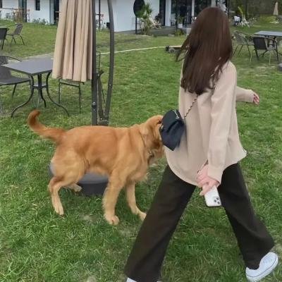 塔皮第一季